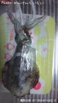 ミズイカ