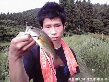 顼