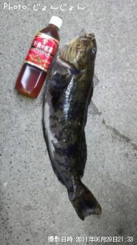 ʥ