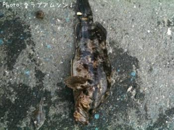 ΥХ