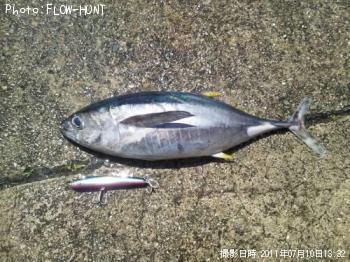 ビンタ