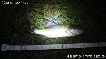 ブラックバス