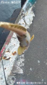 チビナメ