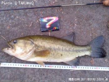 ブラックバス