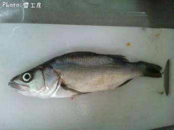 　カマス　　シオ　　ツバス　　シーバス