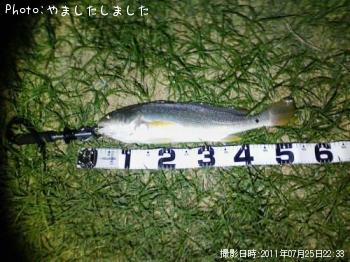 グチ
