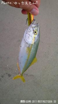 ワカシ
