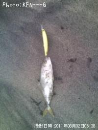 ʥ