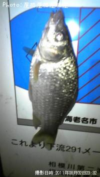 ʫФäޡ