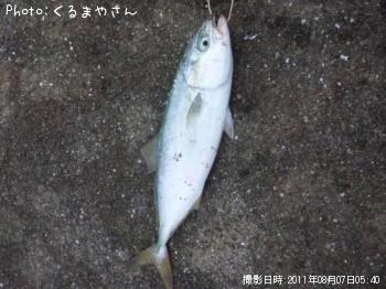 ʥ