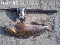 ʥ
