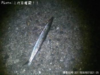 ޥ