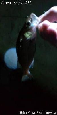 Х