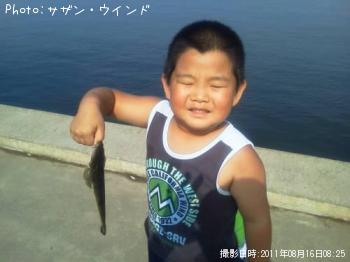 マゴチ