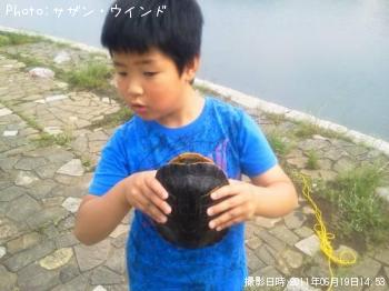 ߤɤꥬ