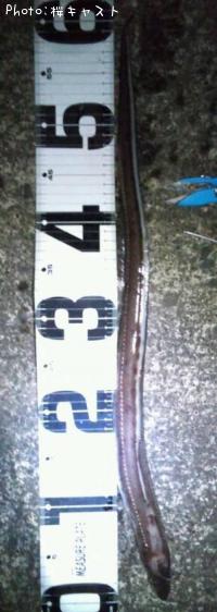 ʥ