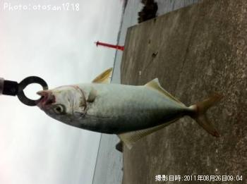 ѥĵ