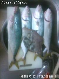 狼ȥϥ
