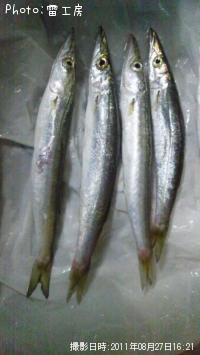 カマス