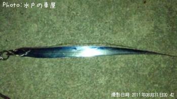 太刀魚