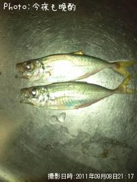 アジ