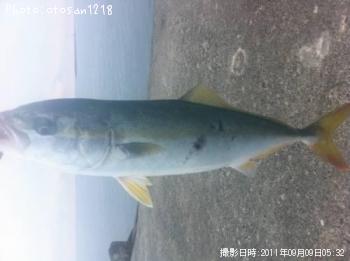 ʥ