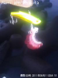エラ