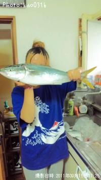 饵