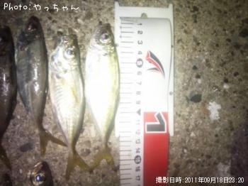 アジ