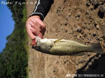 ラージ