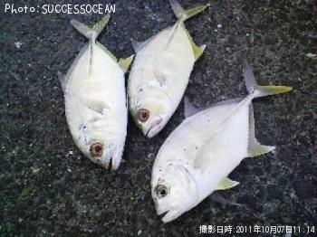 エバ