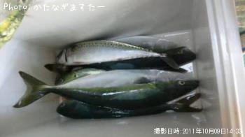 汐子