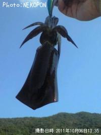ꥤ