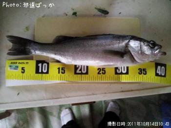 フッコ