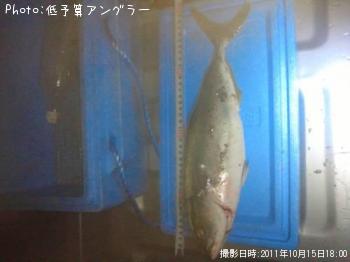 ʥ
