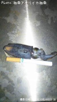 ꥤ