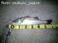 Х