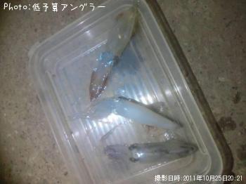 ヒイカ
