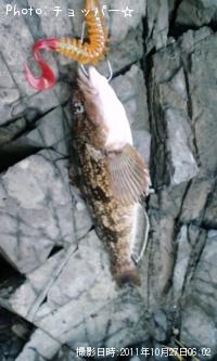 ʥ