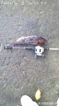 ʥ