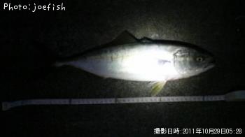 ʥ