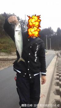 サバ