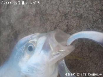 メッキ