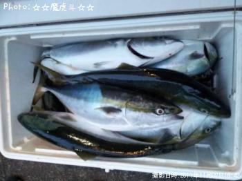 饵