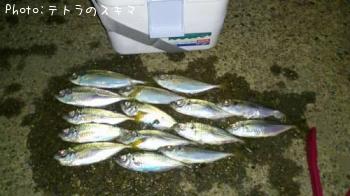 アジ