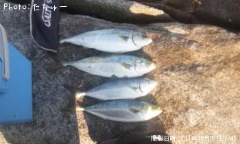 ʥ