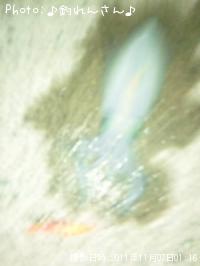 屨±