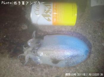 䥱