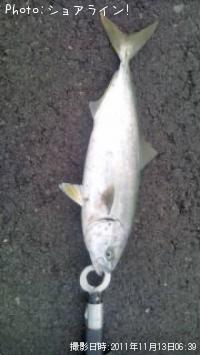 ʥ