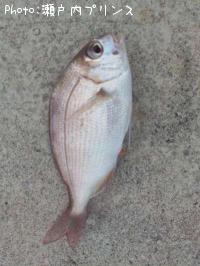 タイ